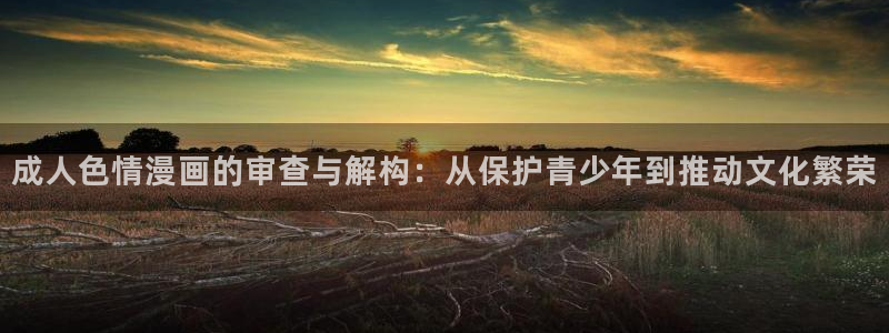 漫画岛现在改名叫什么了：成人色情漫画的审查与解构：从保护青少年到推动文化繁荣