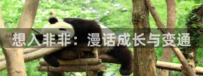 漫画岛下载官方免费