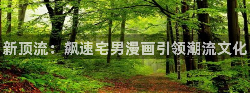 漫画岛官网免费观看