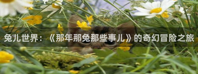 漫画岛官网免费观看下载：兔儿世界：《那年那兔那些事儿》的奇幻冒险之旅